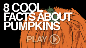 Pumpkin Facts